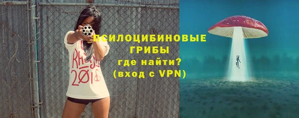 тгк Алзамай